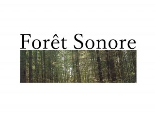 Forêt Sonore Balado